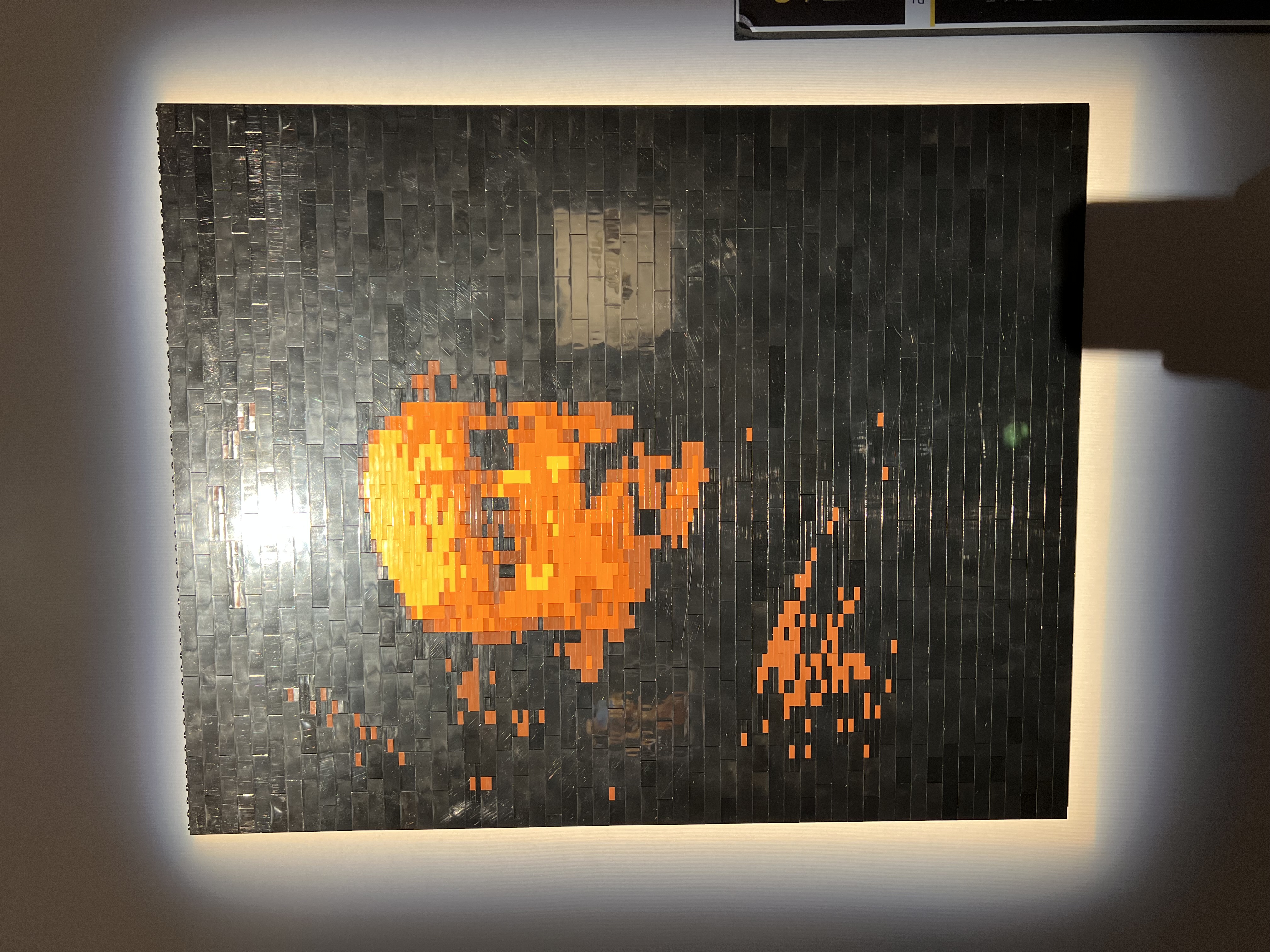 ./2023/07 - Art of the Brick/IMG_9567.JPG